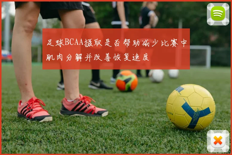 足球BCAA摄取是否帮助减少比赛中肌肉分解并改善恢复速度