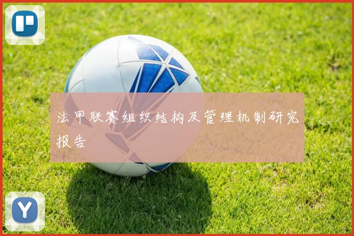 法甲联赛组织结构及管理机制研究报告